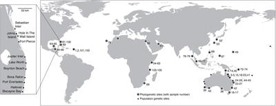 Genomics-Based Phylogenetic and Population Genetic Analysis of Global Samples Confirms Halophila johnsonii Eiseman as Halophila ovalis (R.Br.) Hook.f.